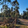 Proyecto Peralillo - Imagen 7