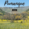 Proyecto Pumanque